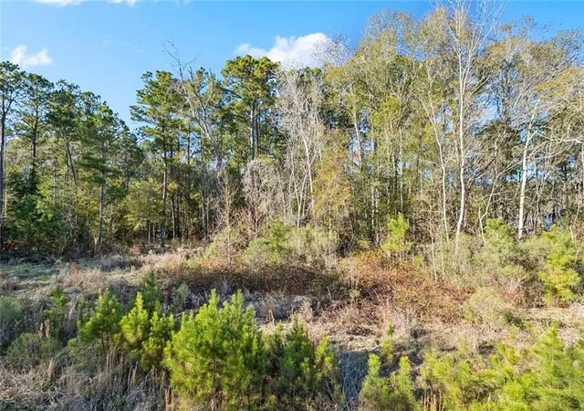 Photo 4 of Land for sale at 12561 Goldentop Dr, Covington, LA 70433 | MLS# 2539607 | Listing updated on 2026-05-12