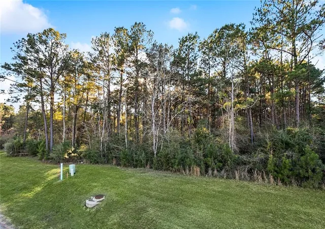 Photo 2 of Land for sale at 12505 Goldentop Dr, Covington, LA 70433 | MLS# 2539444 | Listing updated on 2026-03-13