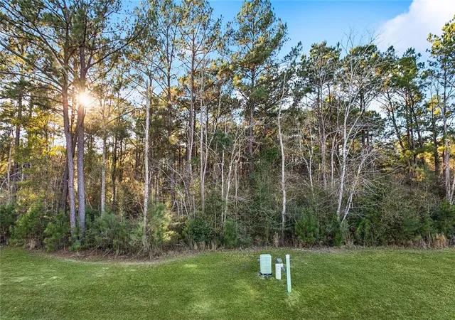Photo 3 of Land for sale at 12505 Goldentop Dr, Covington, LA 70433 | MLS# 2539444 | Listing updated on 2026-03-13