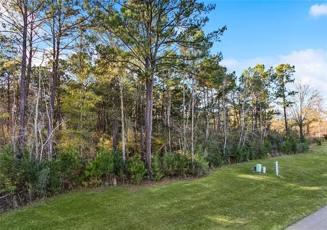 Photo 4 of Land for sale at 12505 Goldentop Dr, Covington, LA 70433 | MLS# 2539444 | Listing updated on 2026-03-13