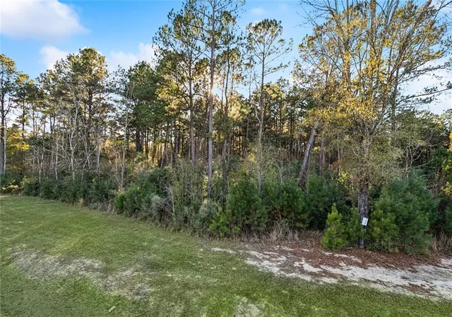 Photo 3 of Land for sale at 12509 Goldentop Dr, Covington, LA 70433 | MLS# 2539483 | Listing updated on 2026-05-12