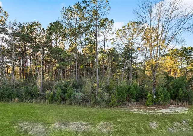 Photo 3 of Land for sale at 12509 Goldentop Dr, Covington, LA 70433 | MLS# 2539483 | Listing updated on 2026-05-12