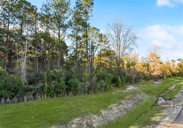 Photo 4 of Land for sale at 12509 Goldentop Dr, Covington, LA 70433 | MLS# 2539483 | Listing updated on 2026-05-12