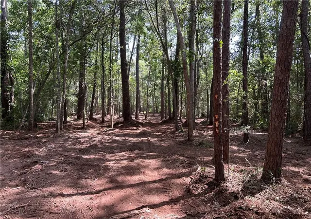 Photo 4 of Land for sale at 2678 Lucille Dr, Lacombe, LA 70445 | MLS# 2539656 | Listing updated on 2026-07-21