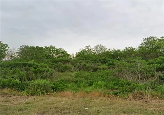 2nd image of 2509 Delacroix Hwy, St Bernard, LA 70085 | MLS# 2539705