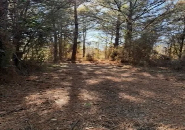 3rd image of 29 Jennie Ln, Picayune, MS 39466 | MLS# 2539802
