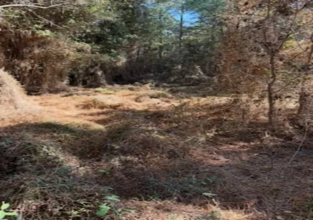 4th image of 29 Jennie Ln, Picayune, MS 39466 | MLS# 2539802
