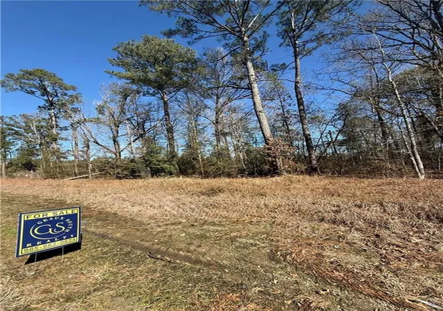 Homes for sale in Independence, LA | 3 Acres Hwy 43 Hwy, Independence, LA 70443 | MLS# 2540633