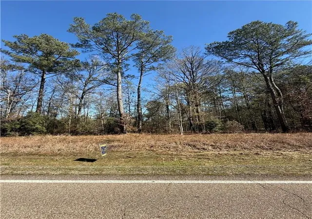 Homes for sale in Independence, LA | 3 Acres Hwy 43 Hwy, Independence, LA 70443 | MLS# 2540633