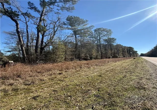 Homes for sale in Independence, LA | 3 Acres Hwy 43 Hwy, Independence, LA 70443 | MLS# 2540633