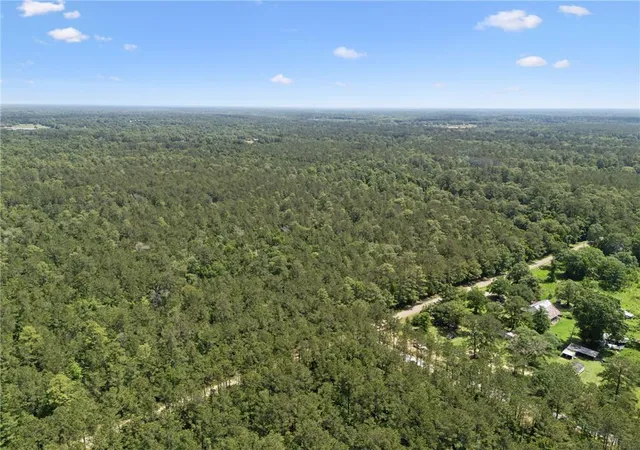 Homes for sale in Folsom, LA | Parcel 2 (649) Acres Bruhl Rd, Folsom, LA 70437 | MLS# 2540340