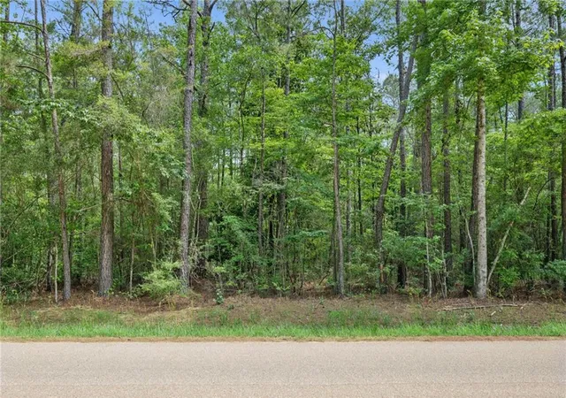 Homes for sale in Folsom, LA | Parcel 2 (649) Acres Bruhl Rd, Folsom, LA 70437 | MLS# 2540340