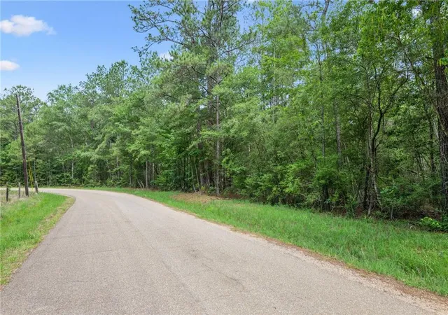 Homes for sale in Folsom, LA | Parcel 2 (649) Acres Bruhl Rd, Folsom, LA 70437 | MLS# 2540340