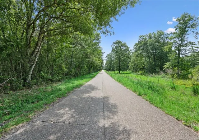 Homes for sale in Folsom, LA | Parcel 1 (701 Acres) Bruhl Rd, Folsom, LA 70437 | MLS# 2540341