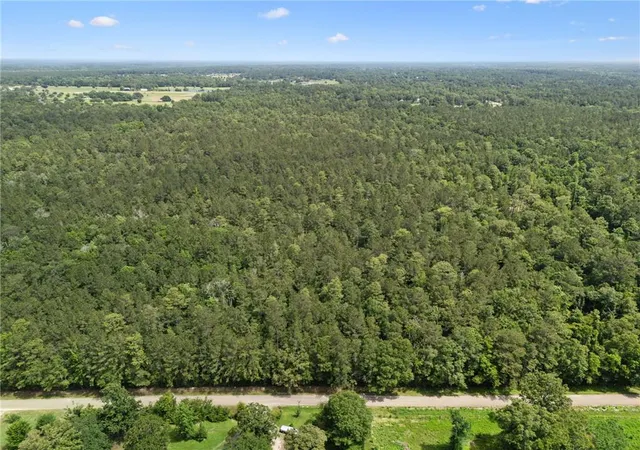 Homes for sale in Folsom, LA | Parcel 1 (701 Acres) Bruhl Rd, Folsom, LA 70437 | MLS# 2540341