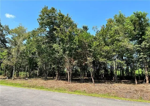 Photo 3 of Land for sale at 39 Arbor Ln, New Orleans, LA 70131 | MLS# 2540831 | Listing updated on 2026-03-25