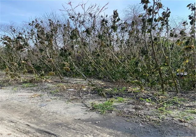 Photo 3 of Land for sale at 41373 Curran Blvd, New Orleans, LA 70128 | MLS# 2540981 | Listing updated on 2026-03-04