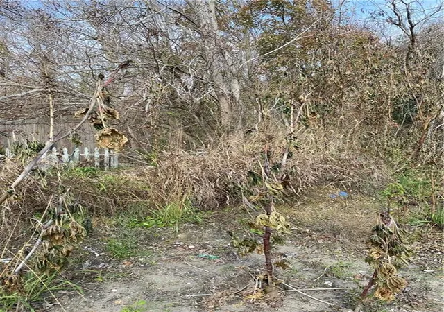 Photo 3 of Land for sale at 41375 Lawrence St, New Orleans, LA 70128 | MLS# 2540994 | Listing updated on 2026-03-04