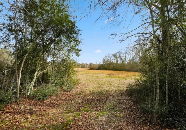 Photo 2 of Land for sale at Tract C Boomerang Rd, Amite, LA 70422 | MLS# 2540669 | Listing updated on 2026-07-02