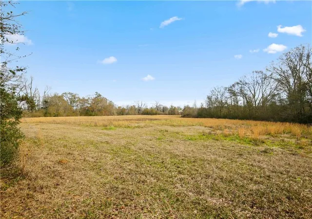 Photo 3 of Land for sale at Tract C Boomerang Rd, Amite, LA 70422 | MLS# 2540669 | Listing updated on 2026-07-02