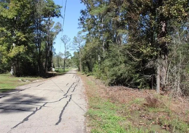 Homes for sale in Springfield, LA | Happywoods Rd, Springfield, LA 70462 | MLS# 2541795