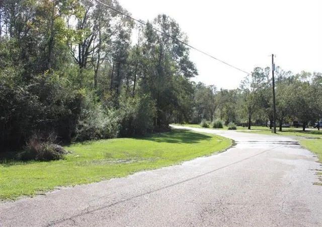 Homes for sale in Springfield, LA | Happywoods Rd, Springfield, LA 70462 | MLS# 2541795