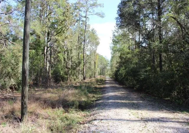 Homes for sale in Springfield, LA | Happywoods Rd, Springfield, LA 70462 | MLS# 2541795