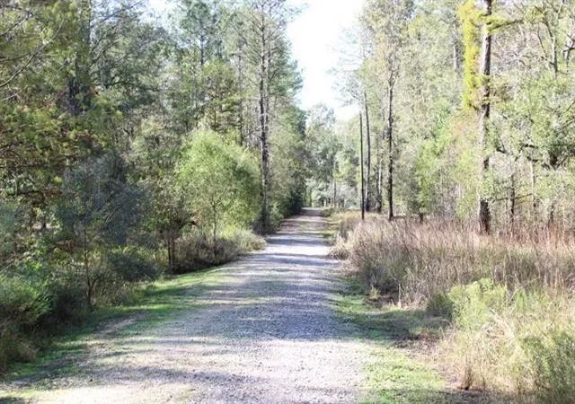 Homes for sale in Springfield, LA | Happywoods Rd, Springfield, LA 70462 | MLS# 2541795