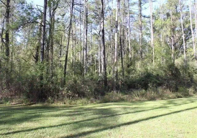 Homes for sale in Springfield, LA | Happywoods Rd, Springfield, LA 70462 | MLS# 2541795