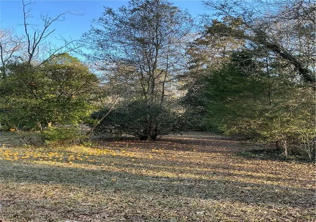 Photo 4 of Single family home for sale at 21305 Highway 1061, Amite, LA 70422 | MLS# 2541218 | Listing updated on 2026-07-30