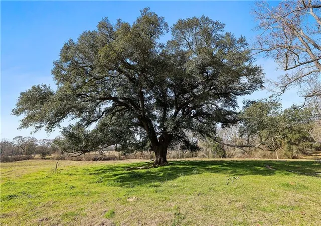 Photo 1 of Land for sale at 255 Jp Thomas Rd, Amite, LA 70422 | MLS# 2542503 | Listing updated on 2026-07-24
