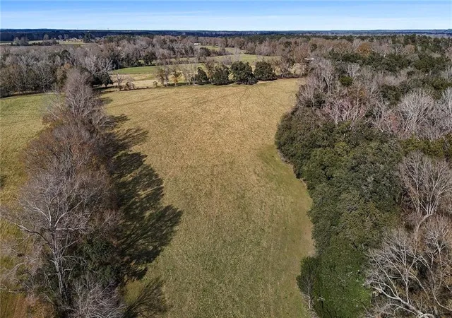Photo 21 of Land for sale at 255 Jp Thomas Rd, Amite, LA 70422 | MLS# 2542503 | Listing updated on 2026-07-24