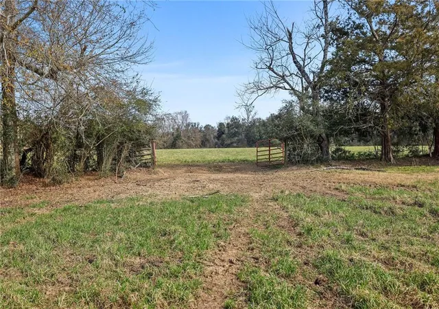 Homes for sale in Amite, LA | 255 Jp Thomas Rd, Amite, LA 70422 | MLS# 2542503
