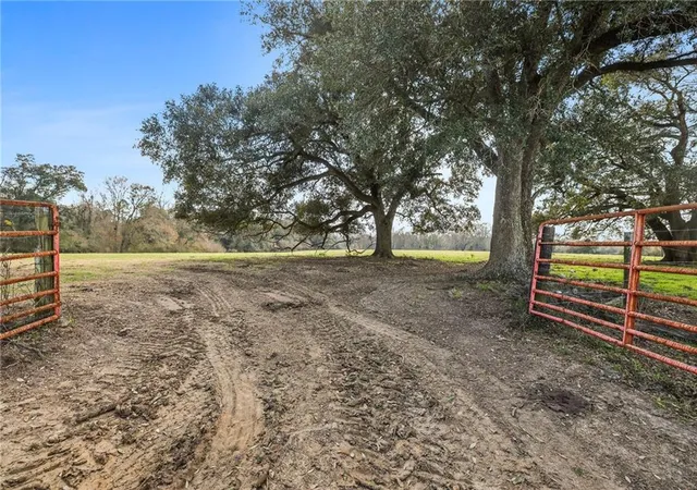 Photo 2 of Land for sale at 255 Jp Thomas Rd, Amite, LA 70422 | MLS# 2542503 | Listing updated on 2026-07-24