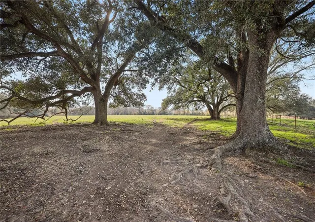 Photo 3 of Land for sale at 255 Jp Thomas Rd, Amite, LA 70422 | MLS# 2542503 | Listing updated on 2026-07-24