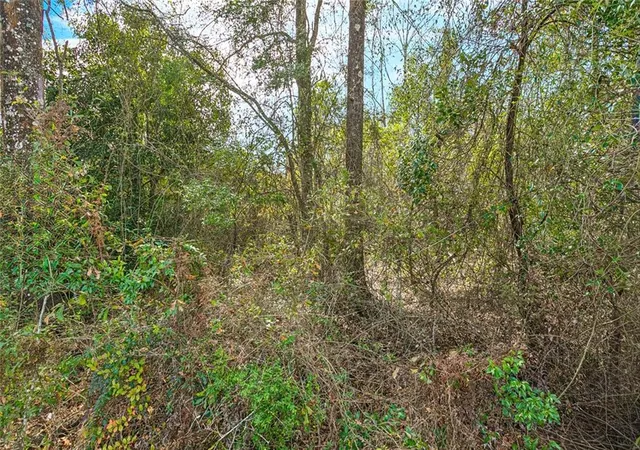 Photo 3 of Land for sale at 2357 W 21st Avenue, Covington, LA 70433 | MLS# 2542787 | Listing updated on 2026-08-26