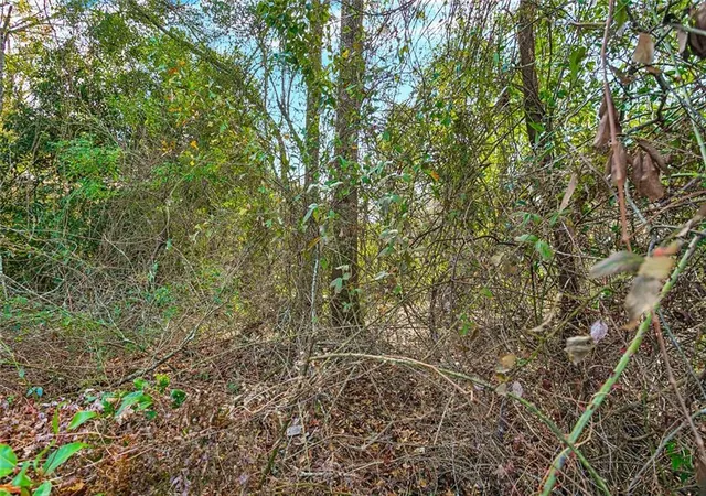 Photo 4 of Land for sale at 2357 W 21st Avenue, Covington, LA 70433 | MLS# 2542787 | Listing updated on 2026-08-26