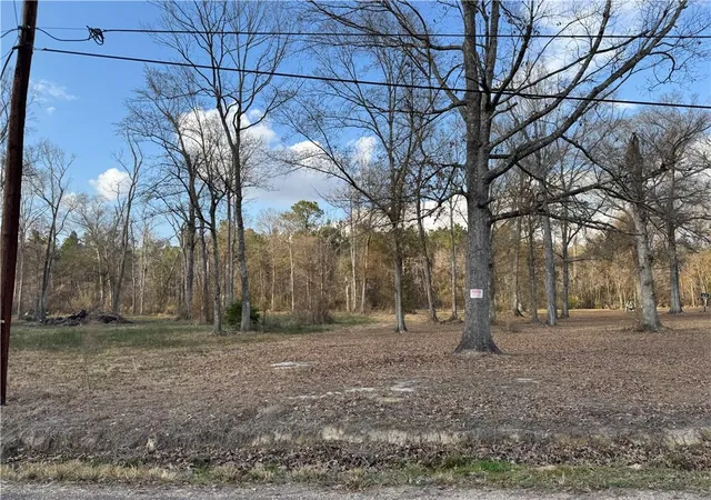 Homes for sale in Holden, LA | Tract 2-B E Shadow Lake Dr, Holden, LA 70744 | MLS# 2542698