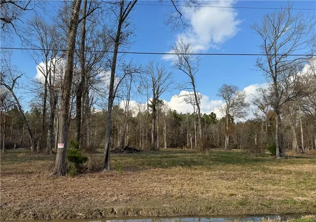Homes for sale in Holden, LA | Tract 2-C E Shadow Lake Dr, Holden, LA 70744 | MLS# 2542699