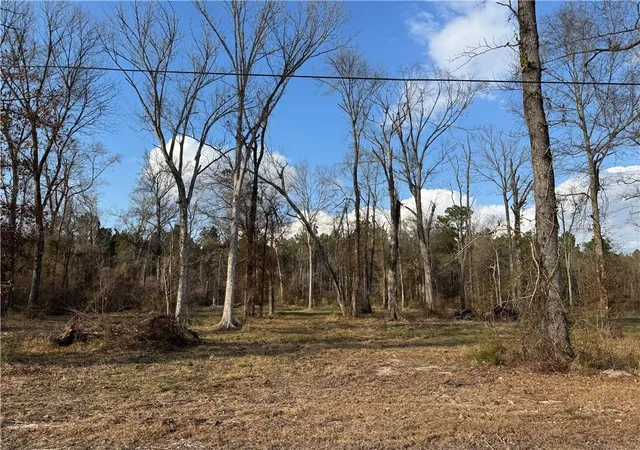 Homes for sale in Holden, LA | Tract 2-D E Shadow Lake Dr, Holden, LA 70744 | MLS# 2542703