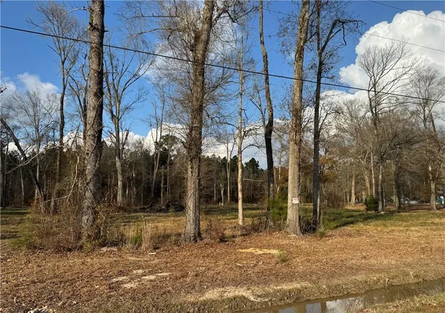 Homes for sale in Holden, LA | Tract 2-D E Shadow Lake Dr, Holden, LA 70744 | MLS# 2542703