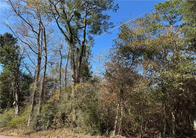 2nd image of Soult (villere Corner) St, Mandeville, LA 70448 | MLS# 2542872