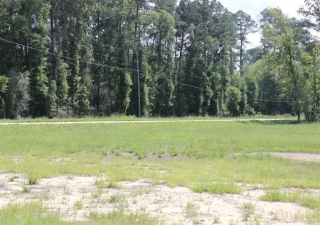 Homes for sale in Independence, LA | 24755 442 Hwy, Independence, LA 70443 | MLS# 2543050