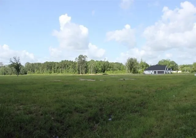 Homes for sale in Independence, LA | 24755 442 Hwy, Independence, LA 70443 | MLS# 2543050