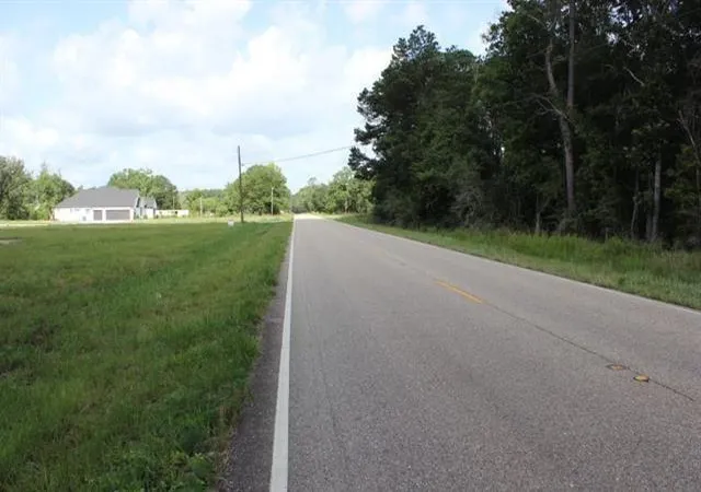 Homes for sale in Independence, LA | 24755 442 Hwy, Independence, LA 70443 | MLS# 2543050