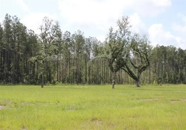Homes for sale in Independence, LA | 29658 Billy Joe Rd, Independence, LA 70443 | MLS# 2543051