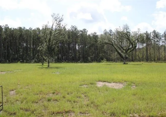 Homes for sale in Independence, LA | 29658 Billy Joe Rd, Independence, LA 70443 | MLS# 2543051