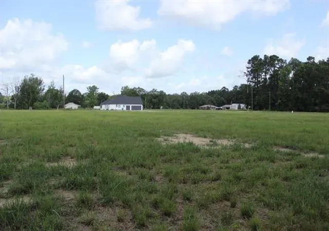 Homes for sale in Independence, LA | 29658 Billy Joe Rd, Independence, LA 70443 | MLS# 2543051