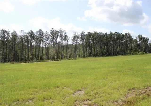 Homes for sale in Independence, LA | 29644 Billy Joe Rd, Independence, LA 70443 | MLS# 2543052