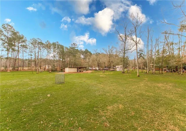 Homes for sale in Independence, LA | 32071 Horseshoe Rd N, Independence, LA 70443 | MLS# 2543789